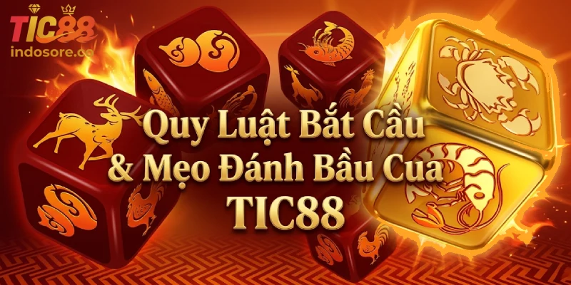 Quy Luật Bắt Cầu & Mẹo Đánh Bầu Cua TIC88